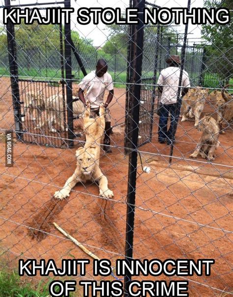 Pussy Gets Punished GAG