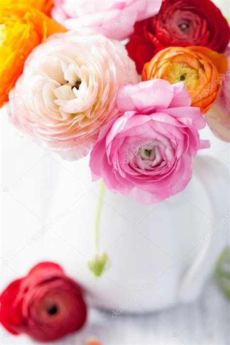 Beautiful Ranunculus Flowers In Vase Stock Photo Duskbabe 49540397