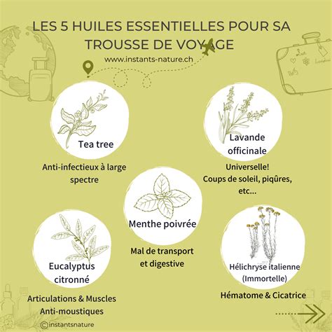 Les Huiles Essentielles Indispensables Pour Ta Trousse De Voyage