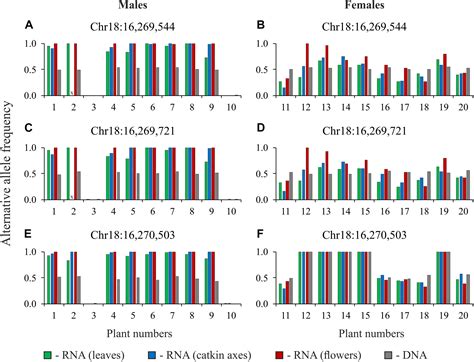 Frontiers Genome And Transcriptome Sequencing Of Populus × Sibirica