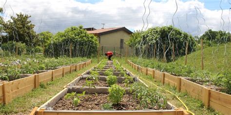 Depuis Toulouse les Maraîchers du Ciel plantent des potagers sur les