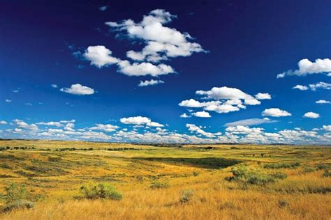 Preserving Americas Great Spaces Montanas American Prairie Reserve