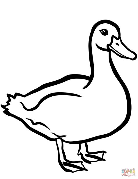 Duck coloring page | Free Printable Coloring Pages