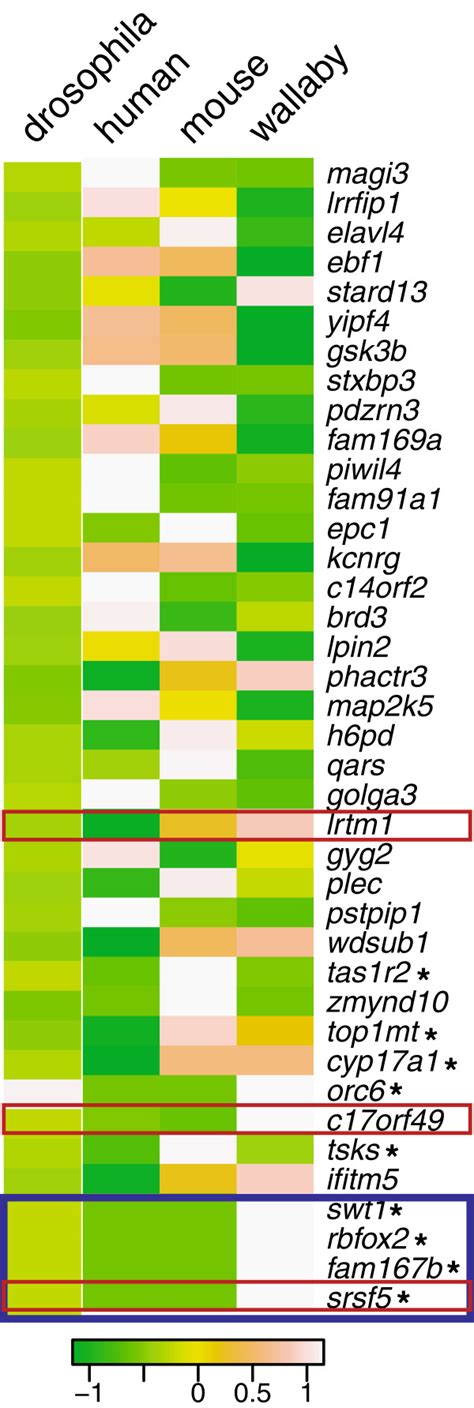 A Heat Map Indicating Abundance Of Mirna Targets Between Mirbase For