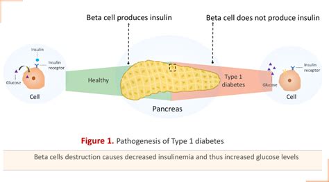 Can Behavioral And Environmental Factors Influence Gene Activity And