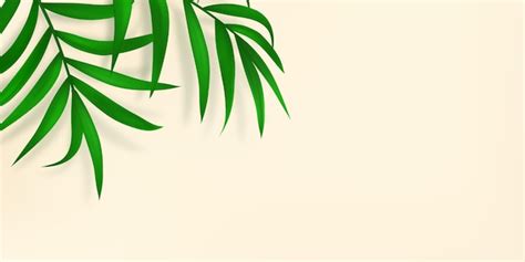 Premium Vector Bright Palm Leaves Overlay Foliage With Sunlight