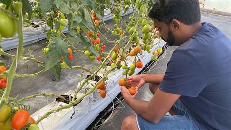 Les Prix Des Fruits Et L Gumes Flambent Linfo Re Vid Os Toutes