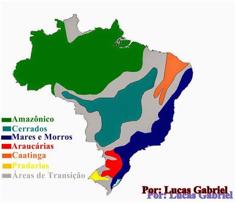 Geo Concei O Dom Nios Morfoclim Ticos