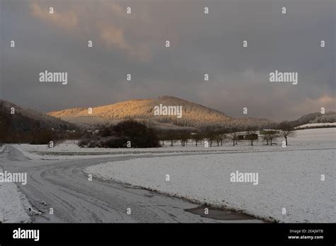 Lindenhardt Forest Hi Res Stock Photography And Images Alamy