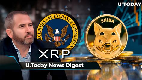 Ripple Ceo Celebrates Historic Xrp Sec Ruling Shiba Inu To Reveal Rare