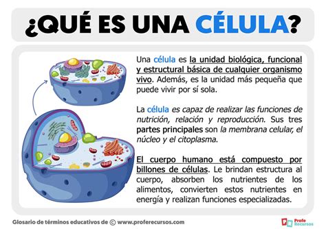 Qué es una Célula