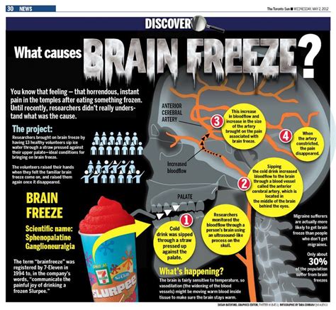 What Causes Brain Freeze Brain Freeze Health Anatomy