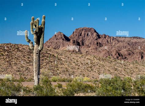 Yuma Desert Hi Res Stock Photography And Images Alamy