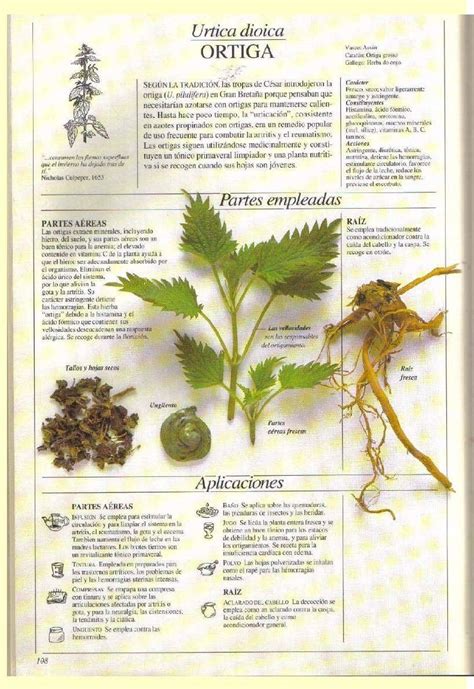 Las Plantas Medicinales Penelope Ody Pdf Plantas Medicinales