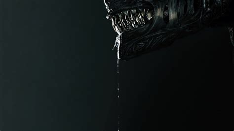 Alien Romulus Xenomorph 4K #283a Wallpaper iPhone Phone