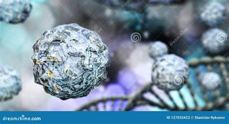 Mesenchymal Stem Cells Stem Cell Structure Vector Illustration On