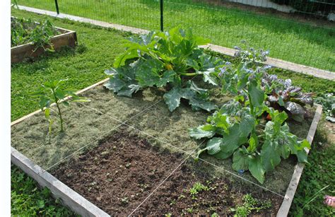 Faire Un Potager Les Tapes Suivre Jardindeco