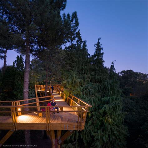 Museu De Serralves Treetop Walk Bilhetes Preços Horários