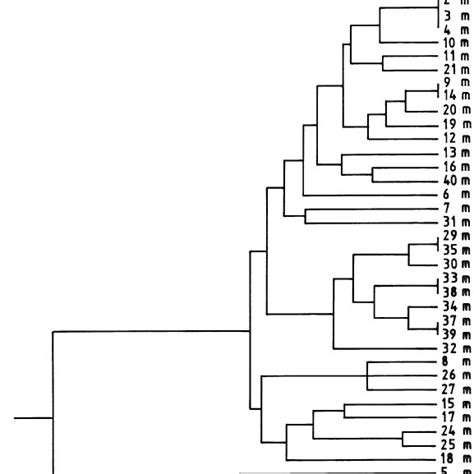 Dendrogram Generated By Clustering Using Upgma Analysis Computed From