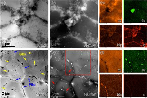 A And D STEM Micrographs B And E HAADF Micrographs And C And F