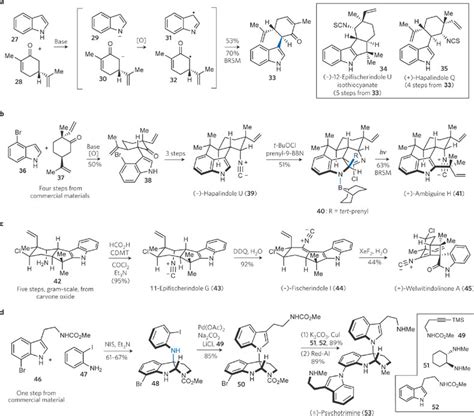 Indole Based Natural Products Synthesized In The Baran Laboratorya