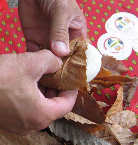 Le pliage du fromage à Banon un art ancestral depuis 1958