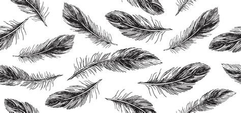 Feathers On White Background Hand Drawn Sketch Style Vector