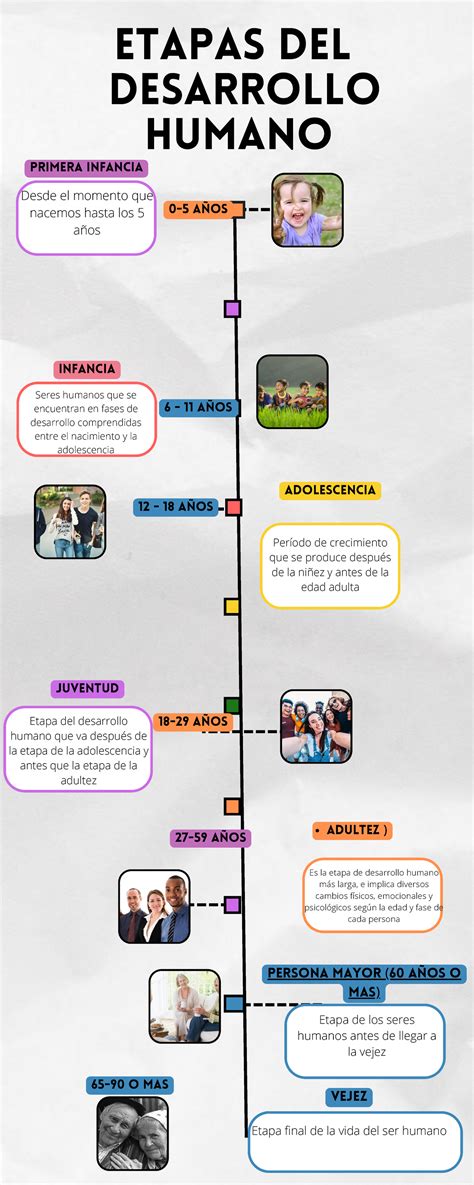 Linea Del Tiempo Etapas Del Desarrollo Humano Infancia Primera