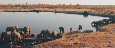 Voyage Afrique Du Sud Sur Mesure Meltour