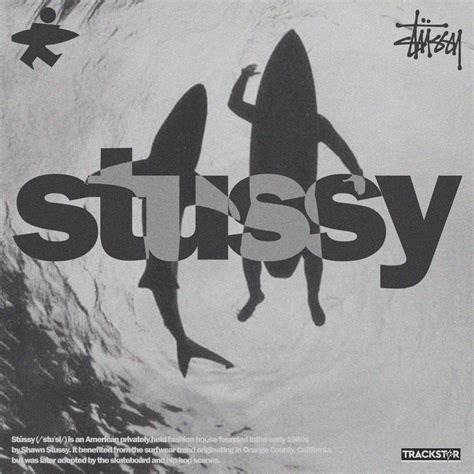 An Advertisement For Sussy Featuring Two Surfers In The Water