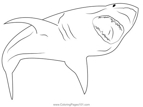 Angry Shark Drawing