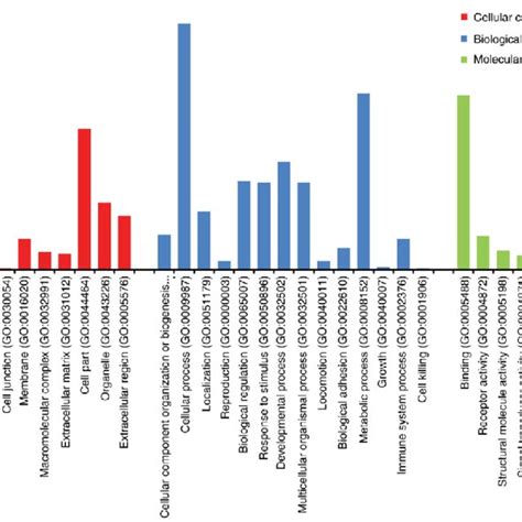 Diagram Of Go Analysis Results Classifying Degs Into Three Functional