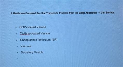 Solved A Vacuole containing a Particle taken up by | Chegg.com