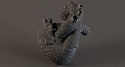 Сердце человека 3D Модель $89 - .max .ma .upk .fbx .unitypackage .gltf ...