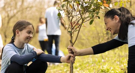 Câmara Municipal de Castro Verde promove educação ambiental junto dos