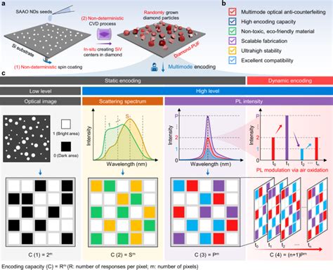 Multimodal Dynamic And Unclonable Anti Counterfeiting Using Robust