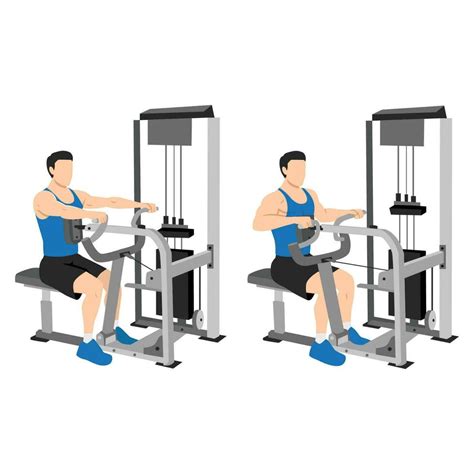 Man Doing Seated Back Row Machine Exercise 24792836 Vector Art At Vecteezy