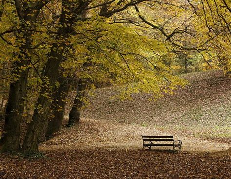 Lonely Bench With Beautiful Mountain Scenery Stock Image Image Of