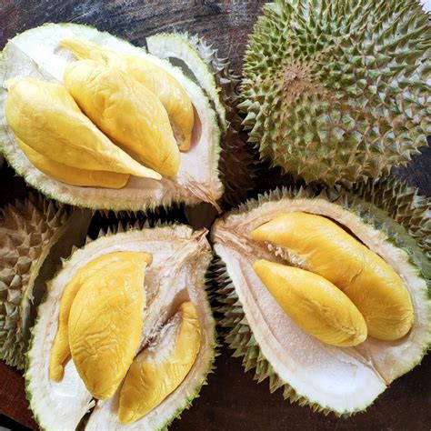 D197 Musang King 350g DurianBB Malaysia