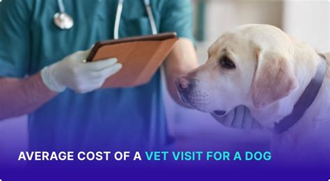 Average Cost Of A Vet Visit For A Dog A Complete Review