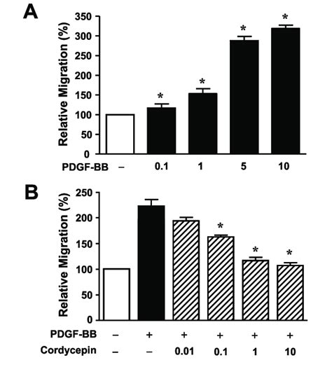 Effect Of Cordycepin On Migration In Rasmcs A Effect Of Pdgf Bb On