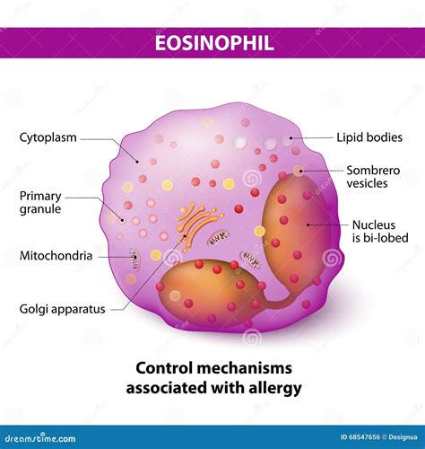 Granulocytes Cartoons, Illustrations & Vector Stock Images - 278