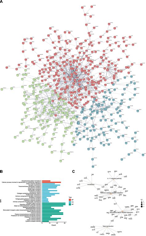 Function Enrichment Analysis Of Screened Differential Genes A Download Scientific Diagram