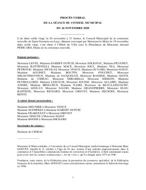 Remplissable En Ligne 1 PROCS VERBAL DE LA SANCE DU CONSEIL MUNICIPAL