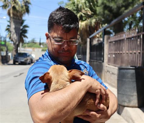 Llaman A La Comunidad Apoyar A Soluci N Del Problema De Los Perros