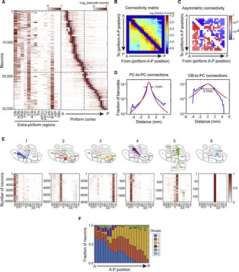 High Throughput Sequencing Of Single Neuron Projections Reveals Spatial