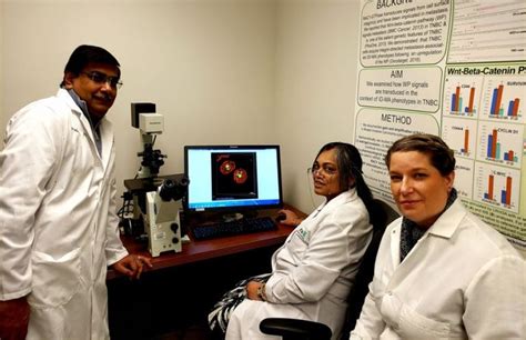 Fluorescent Imaging Sheds New Light On Apoptosis Research Outreach