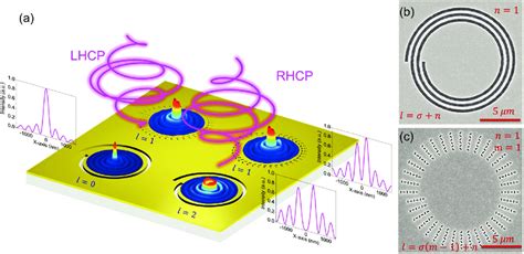 The Schematic Diagram Of Spin Dependent And Independent Effects In Oam