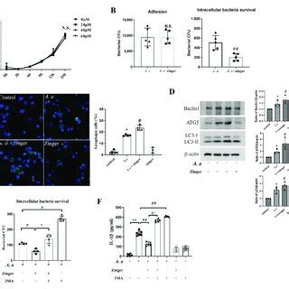 Zingerone Enhanced Intracellular Bacterial Killing By Inducing