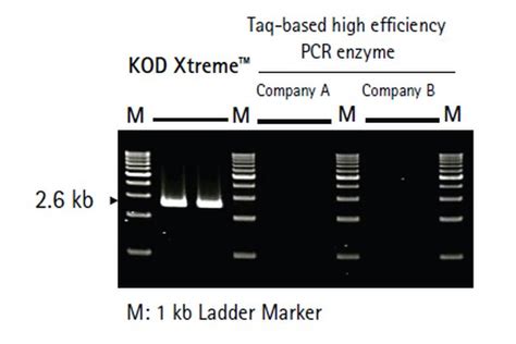 Novagen® Kod Polymerase Pcr Systems Pcr And Rt Pcr Kits And Reagents